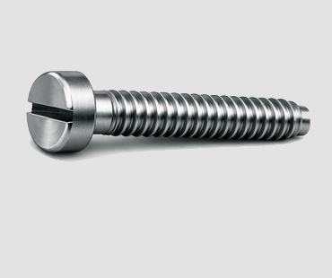 CHEESE HEAD SCREW