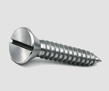 CSK SLOTTED SCREW