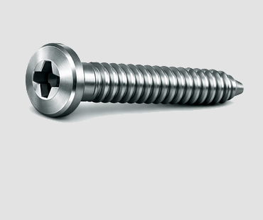 WASHER HEAD SCREW